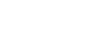 Ortobig